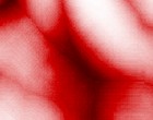 oberfraese nut feder