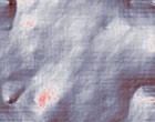 federn von