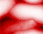 r federn