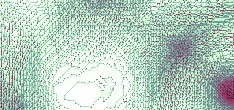 federn test
