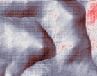 federn test