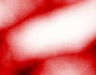eibach feder online