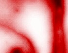 feder tinte