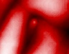 feder tinte