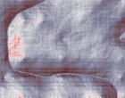 federn 60